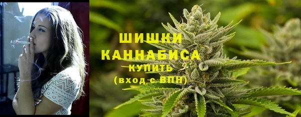 кокс Белокуриха