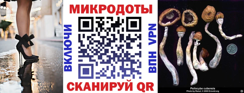 закладка  Корсаков  Галлюциногенные грибы ЛСД 